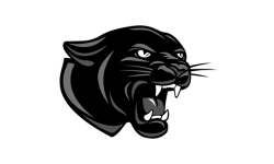 linden mckinley panthers